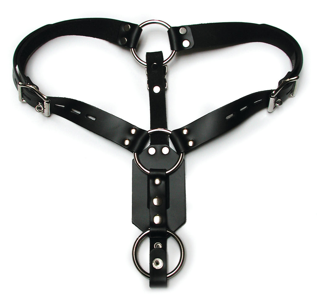 Butt Plug Harness W-cock Ring - iVenuss