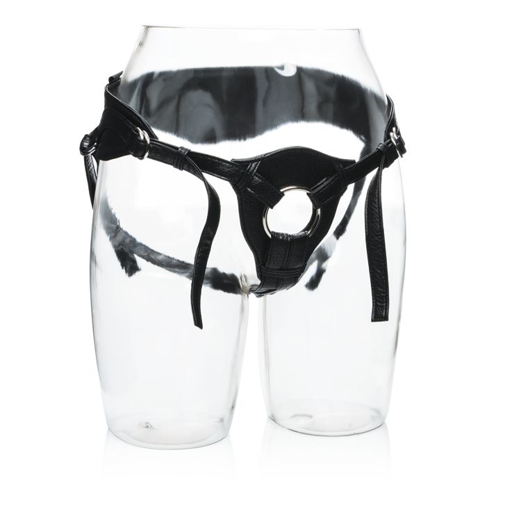 Her Royal Harness Queen - iVenuss