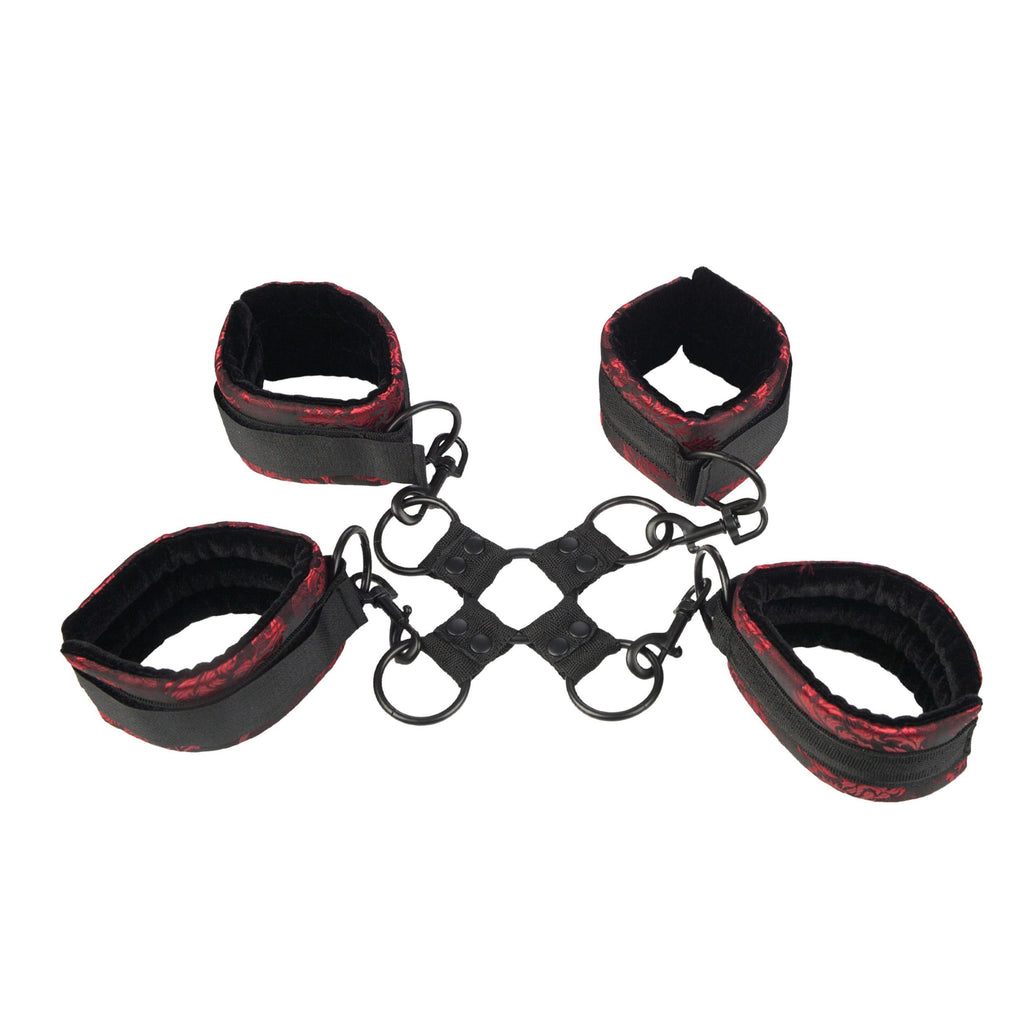 Scandal Hogtie - iVenuss