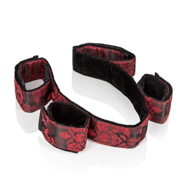 Scandal Bondage Bar - iVenuss