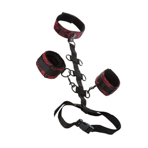 Scandal Collar Body Restraints - iVenuss