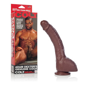 Colt Adam Dexter Dong - iVenuss