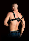 Ouch! Costas Solid Structure 1 Black Harness