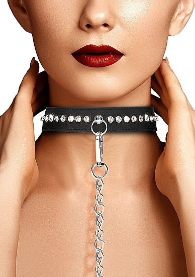 Diamond Studded Collar W- Leash