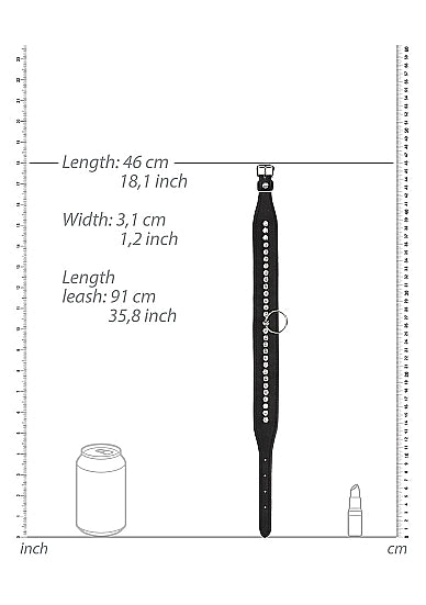 Diamond Studded Collar W- Leash