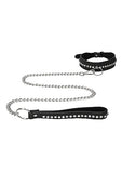 Diamond Studded Collar W- Leash