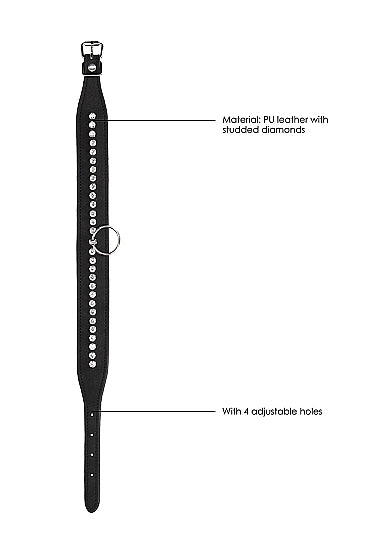 Diamond Studded Collar W- Leash