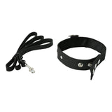 Leather Collar & Leash Set - iVenuss