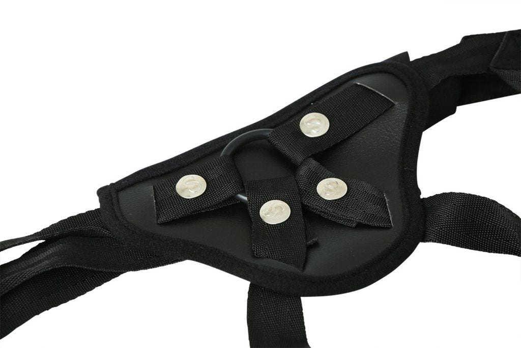Ss Entry Level Harness Black - iVenuss