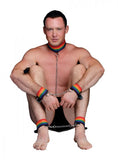 Master Series Kinky Pride Rainbow Bondage Set (out Mid Aug)