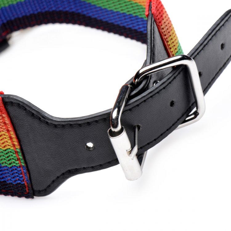 Master Series Kinky Pride Rainbow Bondage Set (out Mid Aug)