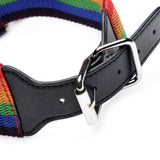Master Series Kinky Pride Rainbow Bondage Set (out Mid Aug)