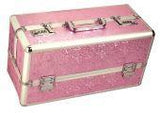 Lockable Vibrator Case Pink Large - iVenuss