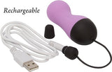 Powerbullet Remote Control Egg Purple