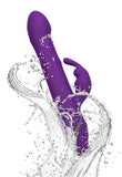 Commotion Rhumba Purple - iVenuss