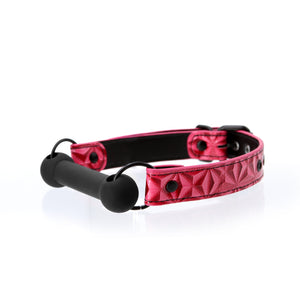 Sinful Bar Gag Pink - iVenuss