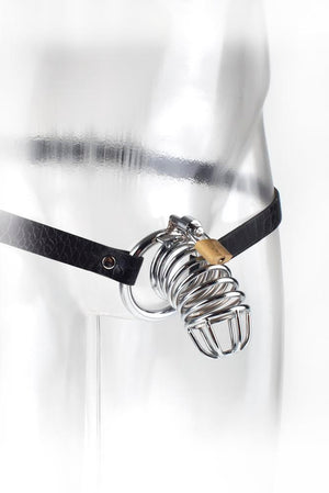 Fetish Fantasy Extreme Chastity Belt - iVenuss