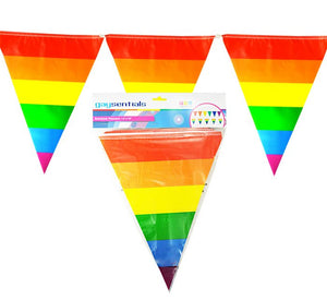 Rainbow Striped Pennants - iVenuss