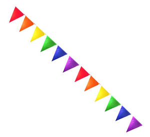 Rainbow Solid Pennants - iVenuss