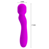 Pretty Love Paul Usb Wand Rechargeable