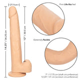 Size Queen 12in Ivory