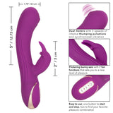 Jack Rabbit Signature Silicone Thumping Rabbit - iVenuss