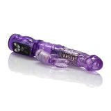 Petite Jack Rabbit Purple - iVenuss