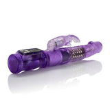 Petite Jack Rabbit Purple - iVenuss