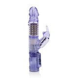 Jack Rabbit Purple W-p - iVenuss