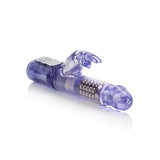 Jack Rabbit Purple W-p - iVenuss