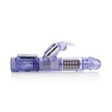 Jack Rabbit Purple W-p - iVenuss
