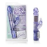 Jack Rabbit Purple W-p - iVenuss