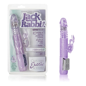 Petite Thrusting Jack Rabbit Purple - iVenuss