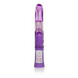 Shanes World Jack Rabbit G" Purple " - iVenuss