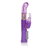 Shanes World Jack Rabbit G" Purple " - iVenuss