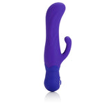 Posh Double Dancer Purple - iVenuss