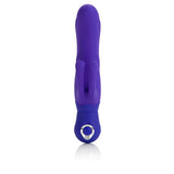 Posh Double Dancer Purple - iVenuss