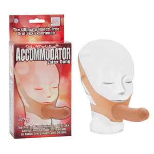 Accomodator Ivory Dong - iVenuss