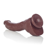 Colt Adam Dexter Dong - iVenuss