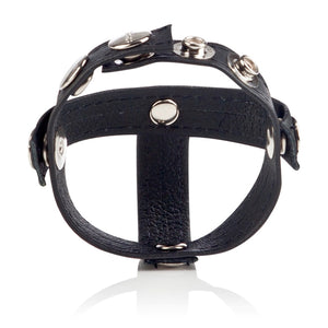 Colt Leather H-piece Divider - iVenuss