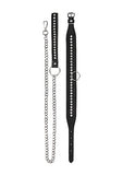 Diamond Studded Collar W- Leash