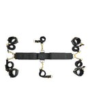 Special Edition Under The Bed Restraint System
