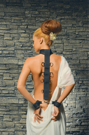 Neck & Wrist Restraint - iVenuss