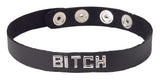 Sm Collar-bitch - iVenuss