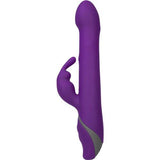 Commotion Rhumba Purple